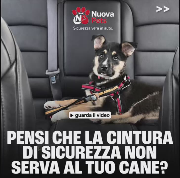 Carica il video: 